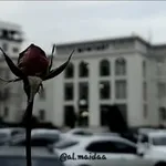 Аватар канала 𝒂𝒍.𝒎𝒂𝒊𝒅𝒂𝒂 🦋 🩵
