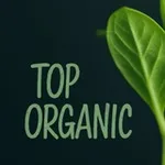 Аватар канала TOP ORGANIC 🌴 🌲 🌵