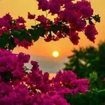 Аватар канала 🌹 ويبقى الامل 🌹