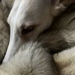 Аватар канала ЭЙКО