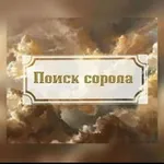 Аватар канала Ищу Сорола/Ролевика/ролку 👾