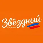 Аватар канала Звездный городок