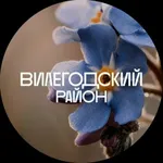 Аватар канала Вилегодский район
