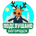 Аватар канала Подслушано в Богородске
