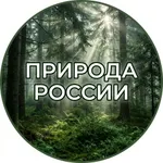 Аватар канала Природа России