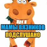 Аватар канала Мамы Вязников - подслушано