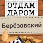 Аватар канала Отдам Даром Берёзовский