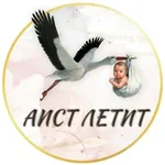 Аватар канала Планирование беременности | Аист летит
