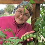 Аватар канала Сибирский сад