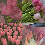 Аватар канала Твой Мир | Вдохновляющие Мысли | Мотивация