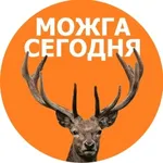 Аватар канала Можга сегодня