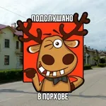 Аватар канала Подслушано в Порхове