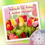 Аватар канала Поздравления,  пожелания, открытки!