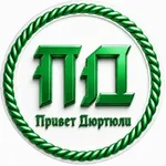 Аватар канала Привет Дюртюли