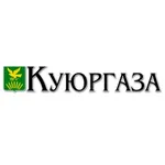 Аватар канала Куюргаза - новости Куюргазинского района (СМИ)
