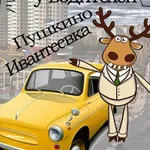 Аватар канала Подслушано у водителей|Пушкино,Ивантеевка
