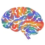 Аватар канала BRAIN