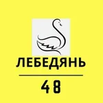 Аватар канала Лебедянь | 48 регион
