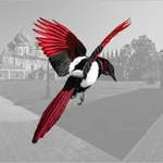 Аватар канала Тихвинская сорока