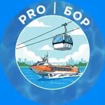 Аватар канала Pro|Бор ● Город Бор
