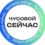Аватар канала ЧП | ЧУСОВОЙ СЕЙЧАС