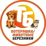 Аватар канала [ТБ] Потеряшка Березники