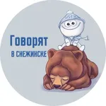 Аватар канала Говорят в Снежинске