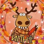 Аватар канала ИПН †  (Новодвинск)