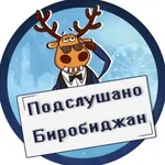 Аватар канала Подслушано Биробиджан