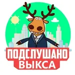 Аватар канала Подслушано Выкса | Виля | Досчатое | Дружба