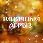 Аватар канала ТИПИЧНЫЙ АГРЫЗ | ӘГЕРҖЕ - Первый паблик города