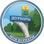Аватар канала Мои Вурнары
