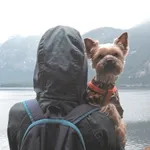 Аватар канала Woof Travel Vanlife — путешествия