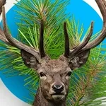 Аватар канала Сарапул сегодня