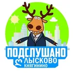 Аватар канала Подслушано Лысково ღ Княгинино