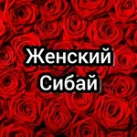 Аватар канала Женский Сибай