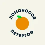 Аватар канала Ломоносов | Петергоф
