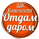 Аватар канала ДДК Отдам даром Новости Кингисепп Объявления