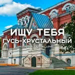 Аватар канала Ищу тебя Гусь-Хрустальный