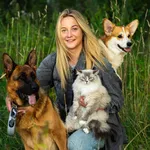 Аватар канала Елена Михайлова 